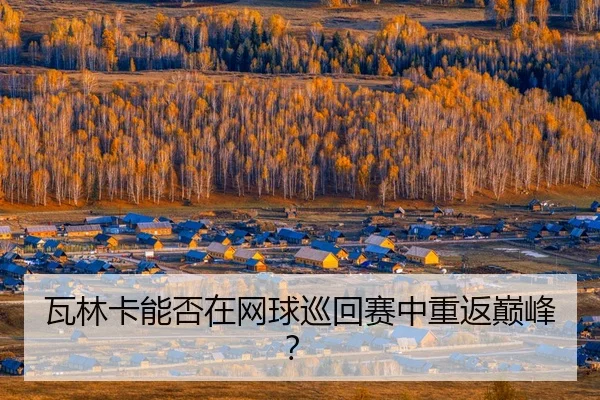瓦林卡能否在网球巡回赛中重返巅峰？